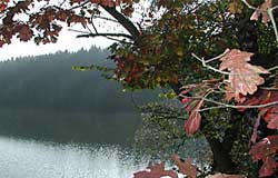 Herbststimmung am Blaibacher See