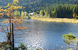 Naturidyll Kleiner Arbersee